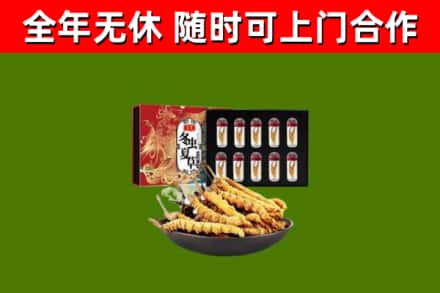 子长市烟酒回收冬虫夏草礼盒.jpg